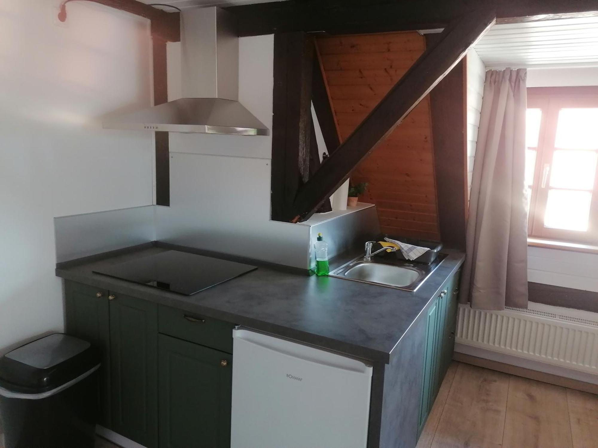 Pensjonat Trobischhof Drezno